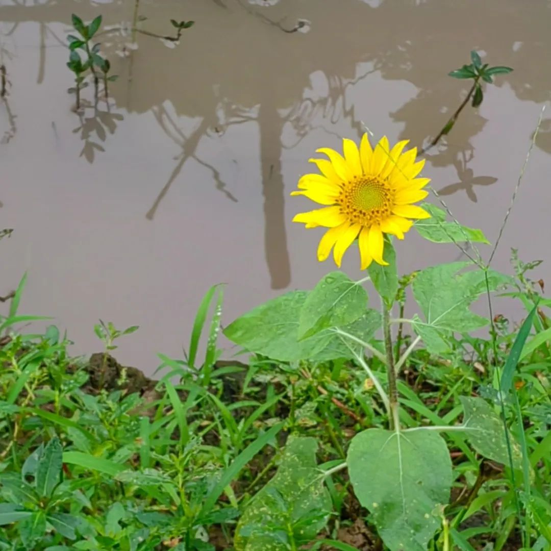 噜噜噜AV久久AV波多野结衣