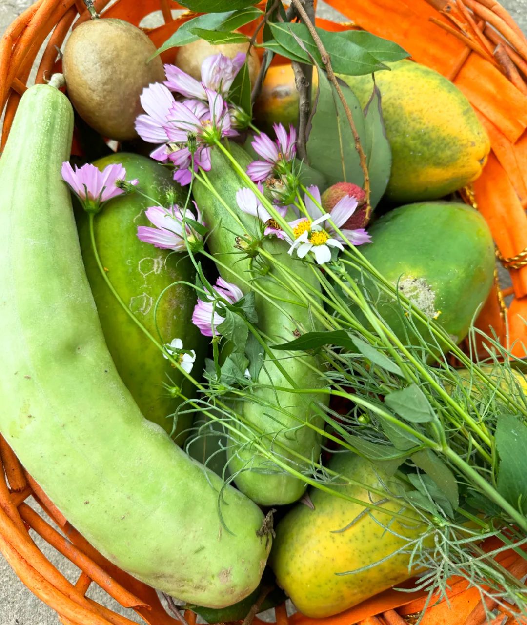 噜噜噜AV久久AV波多野结衣