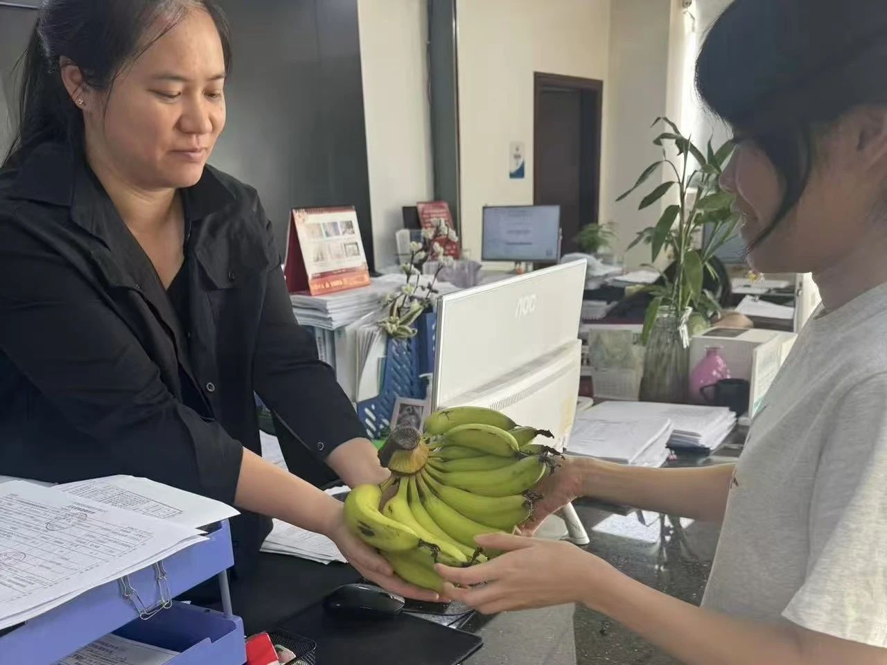 噜噜噜AV久久AV波多野结衣