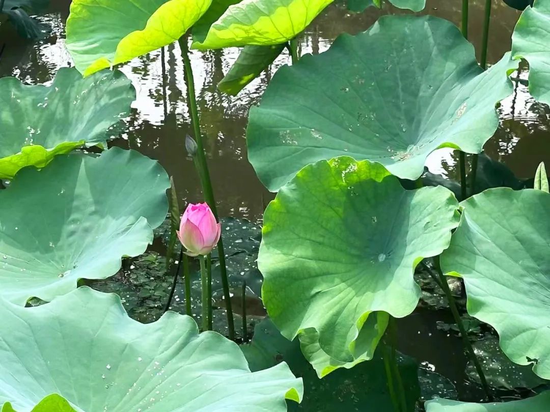 噜噜噜AV久久AV波多野结衣