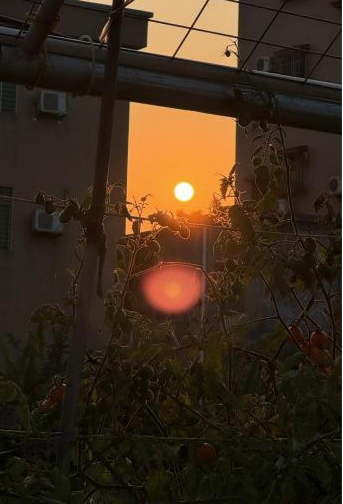 噜噜噜AV久久AV波多野结衣