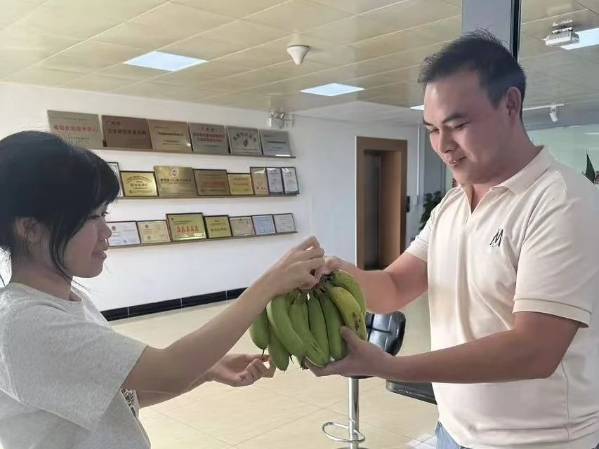 噜噜噜AV久久AV波多野结衣
