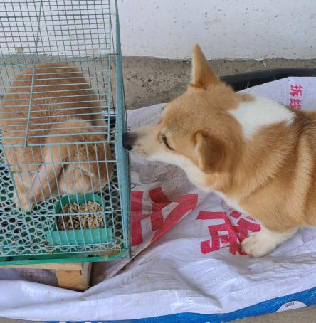 噜噜噜AV久久AV波多野结衣