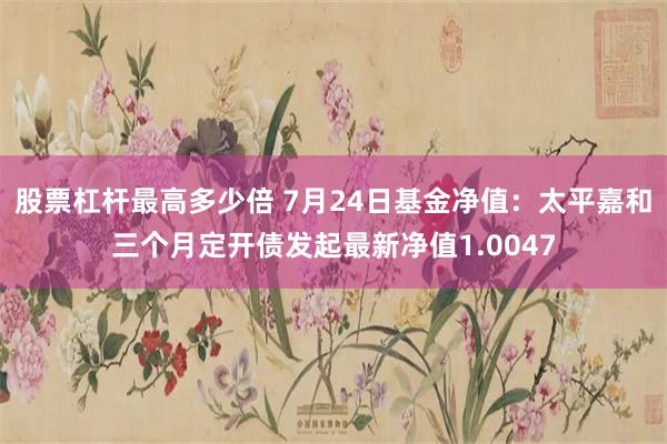 股票杠杆最高多少倍 7月24日基金净值：太平嘉和三个月定开债发起最新净值1.0047