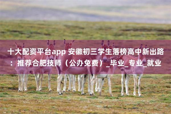 十大配资平台app 安徽初三学生落榜高中新出路：推荐合肥技师（公办免费）_毕业_专业_就业