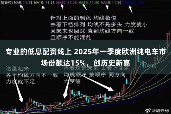 专业的低息配资线上 2025年一季度欧洲纯电车市场份额达15%，创历史新高