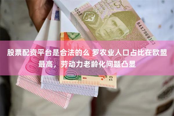 股票配资平台是合法的么 罗农业人口占比在欧盟最高，劳动力老龄化问题凸显