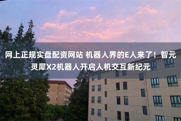 网上正规实盘配资网站 机器人界的E人来了！智元灵犀X2机器人开启人机交互新纪元