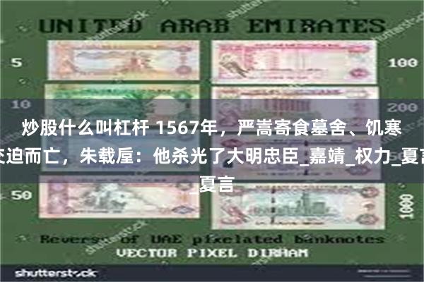 炒股什么叫杠杆 1567年，严嵩寄食墓舍、饥寒交迫而亡，朱载垕：他杀光了大明忠臣_嘉靖_权力_夏言