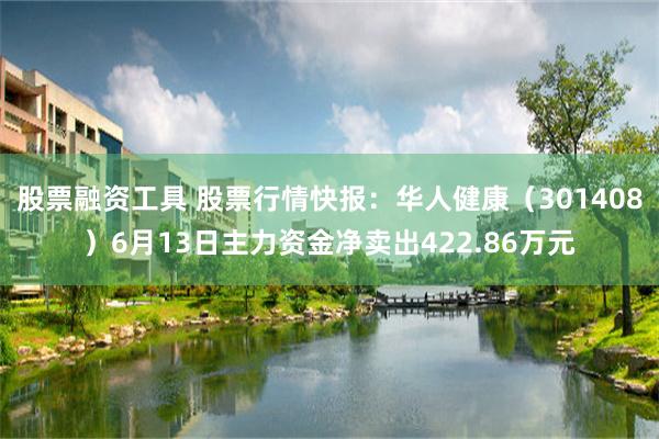 股票融资工具 股票行情快报：华人健康（301408）6月13日主力资金净卖出422.86万元