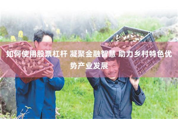 如何使用股票杠杆 凝聚金融智慧 助力乡村特色优势产业发展